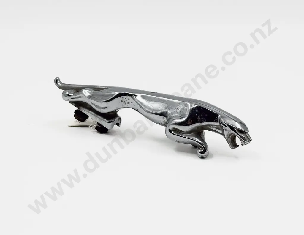 Jaguar Mascot Image 1++