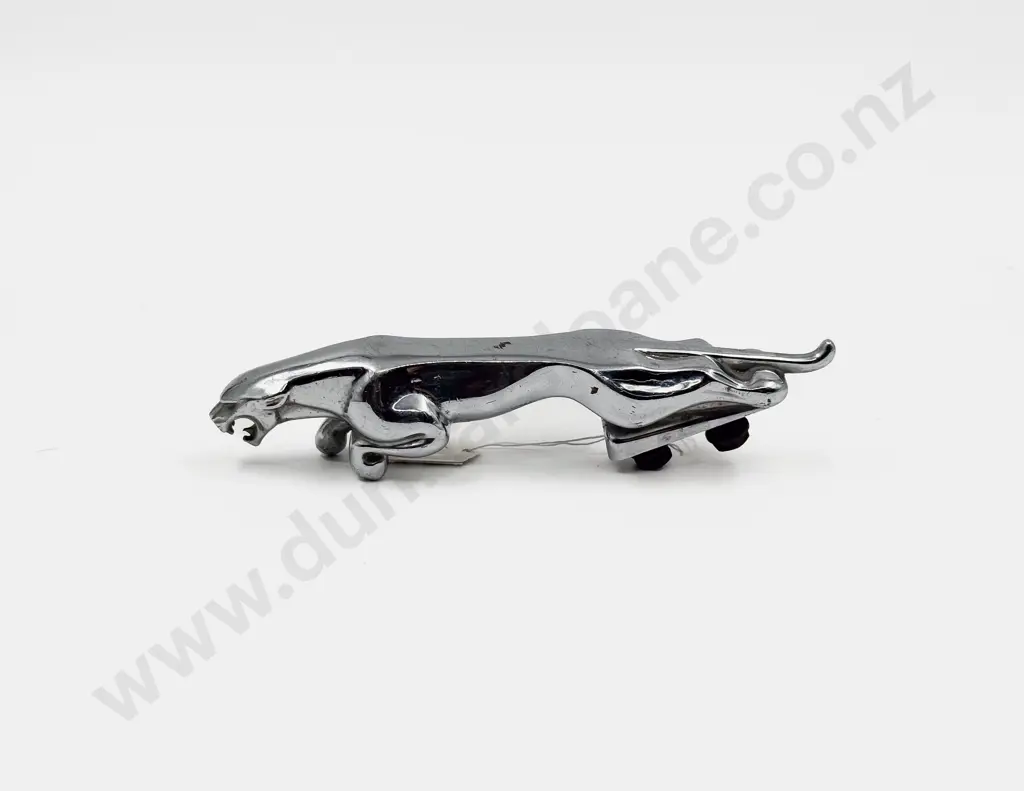 Jaguar Mascot Image 1++