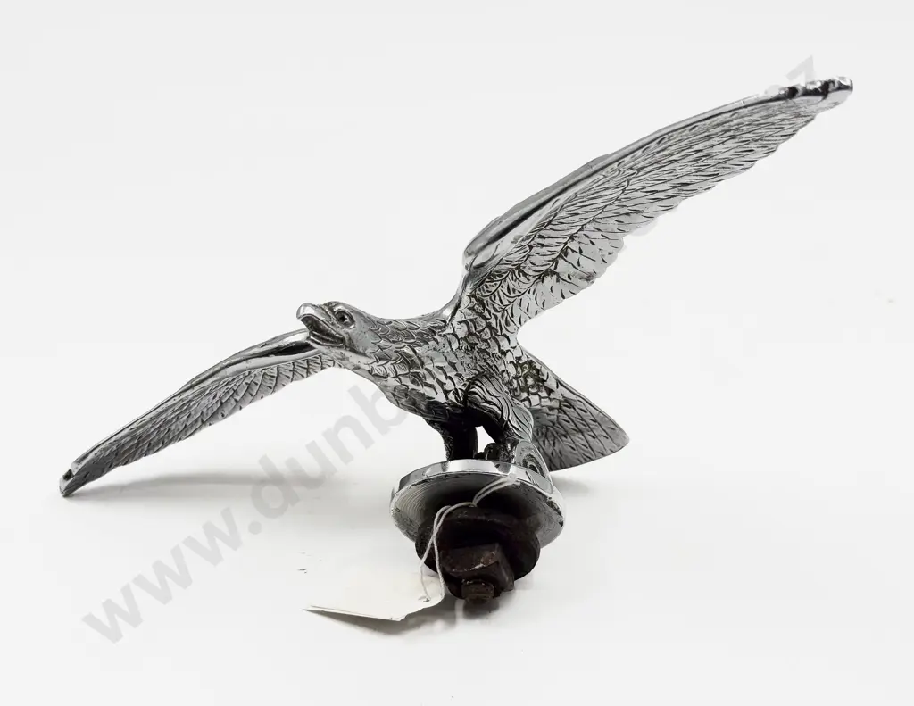 Eagle Car Mascot Image 1++