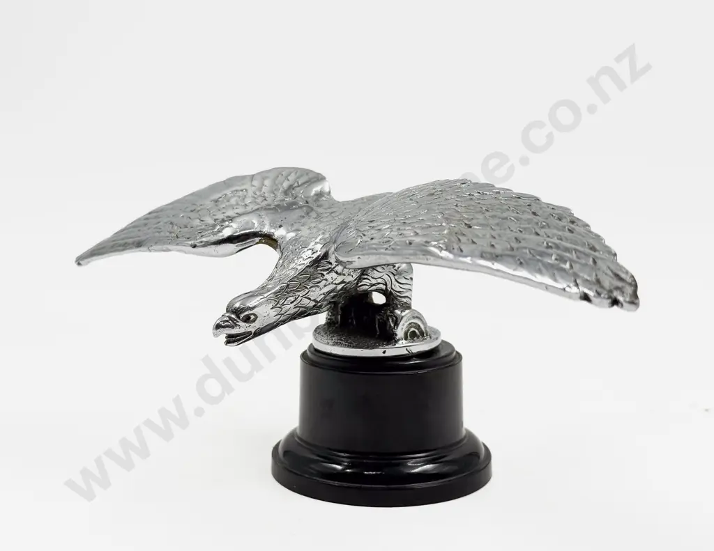 Eagle Car Mascot Image 1++