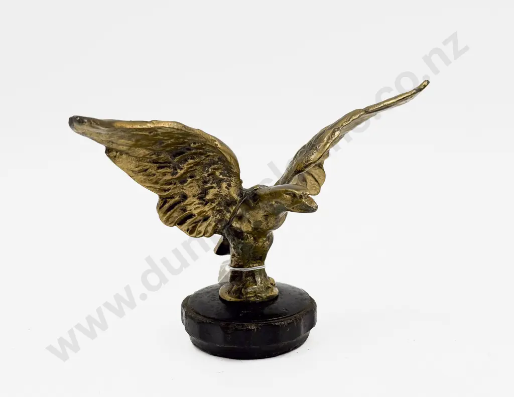 Eagle Car Mascot Image 1++