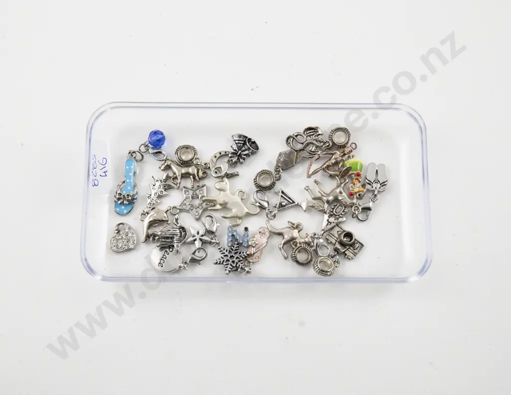 Collection of Assorted Costume Jewellery Charms Image 1++