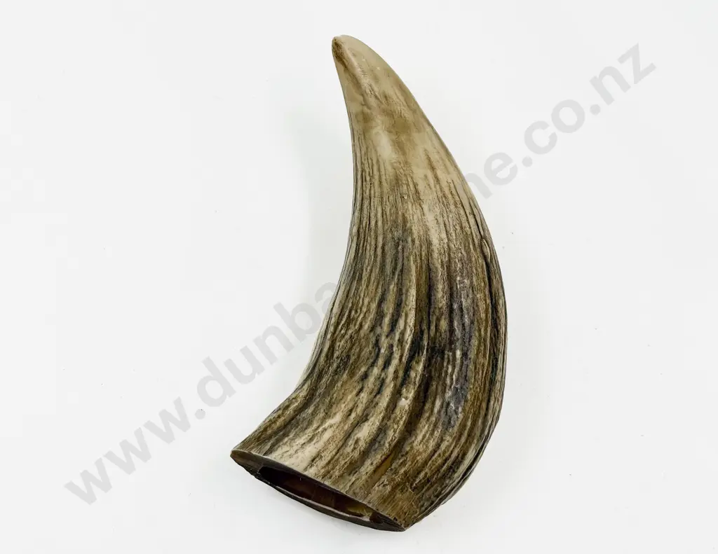 Replica Scrimshaw Horn & Other Image 1++