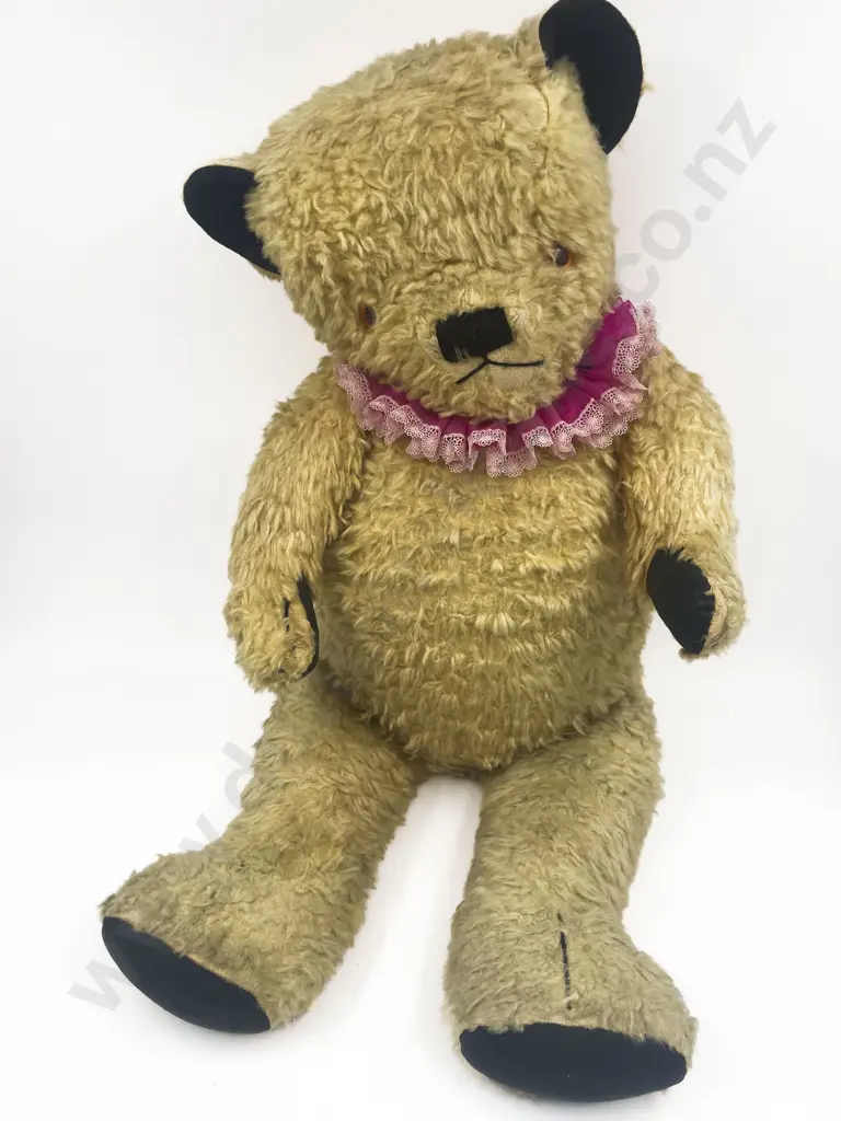 Large Vintage Pedigree Teddy Bear Seated on Cane Childs Chair Image 1++