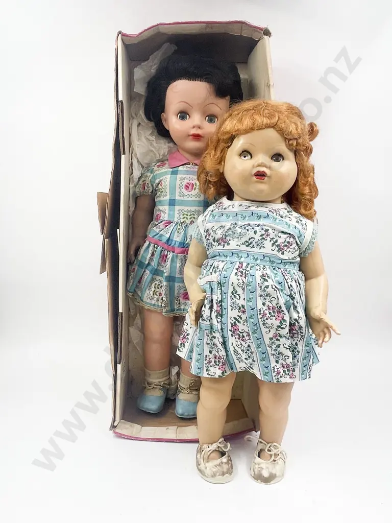 Pedigree Vinyl Teen Doll and Palitoy Hard Plastic (faults) Image 1++