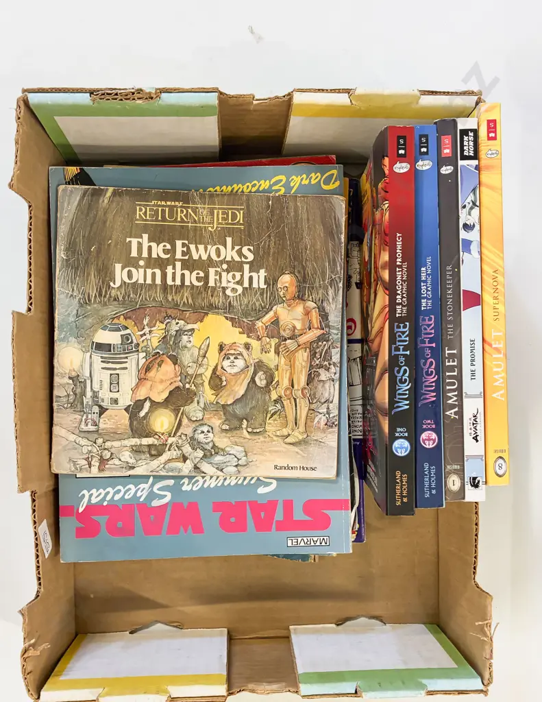 Assortment of Graphic Novels with Picture Books Etc Image 1++