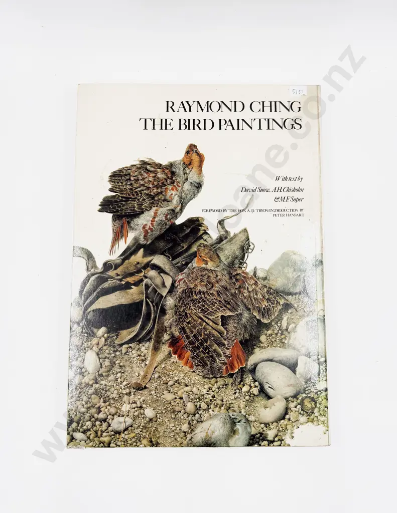 Raymond Ching The Bird Paintings Image 1++