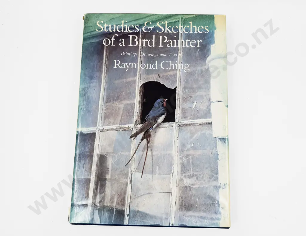 Studies and Sketches of a Bird Painter - Raymond Ching Image 1++