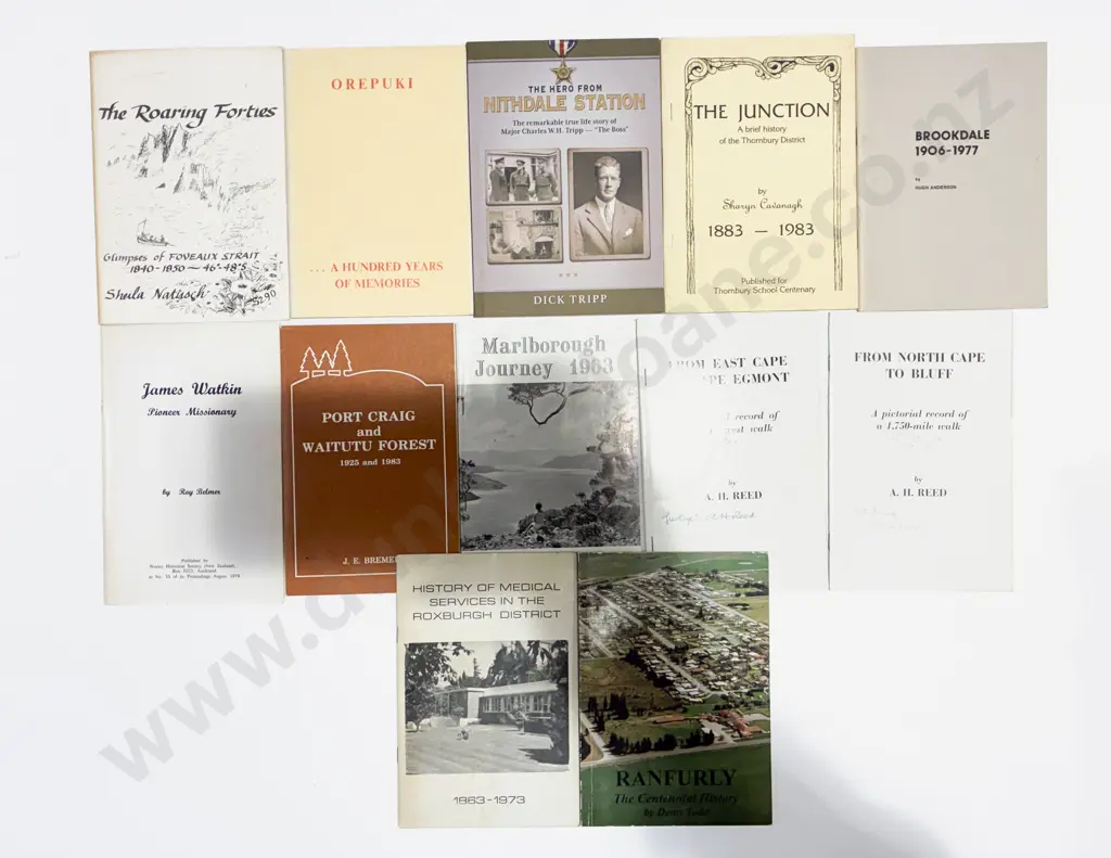 Quantity of Assorted NZ Town's History etc Image 1++