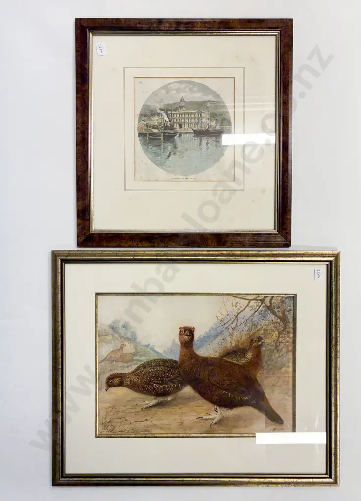 Hand-Coloured Engraving of Wellington Post Office together with W/C of Quail Image 1++