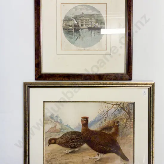 Hand-Coloured Engraving of Wellington Post Office together with W/C of Quail