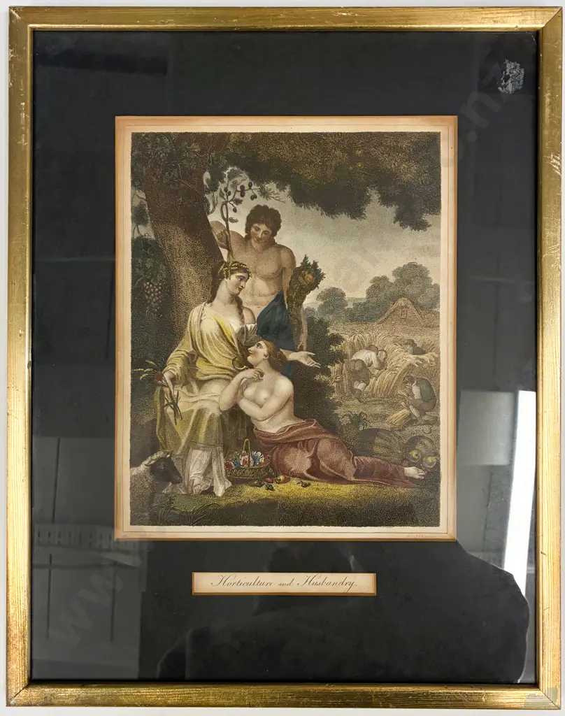 C19th Hand-Coloured Etching - Horticulture & Husbandry Image 1++