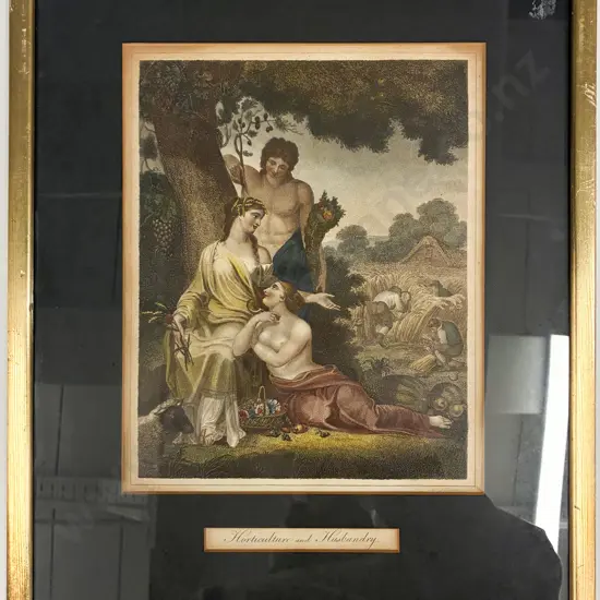 C19th Hand-Coloured Etching - Horticulture & Husbandry