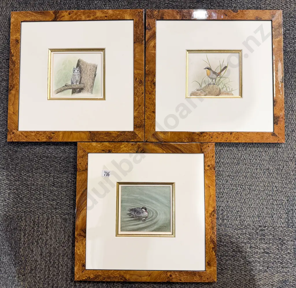 Bronwen Mellor - Set Three Bird Studies - W/C Image 1++