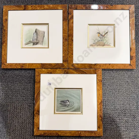 Bronwen Mellor - Set Three Bird Studies - W/C