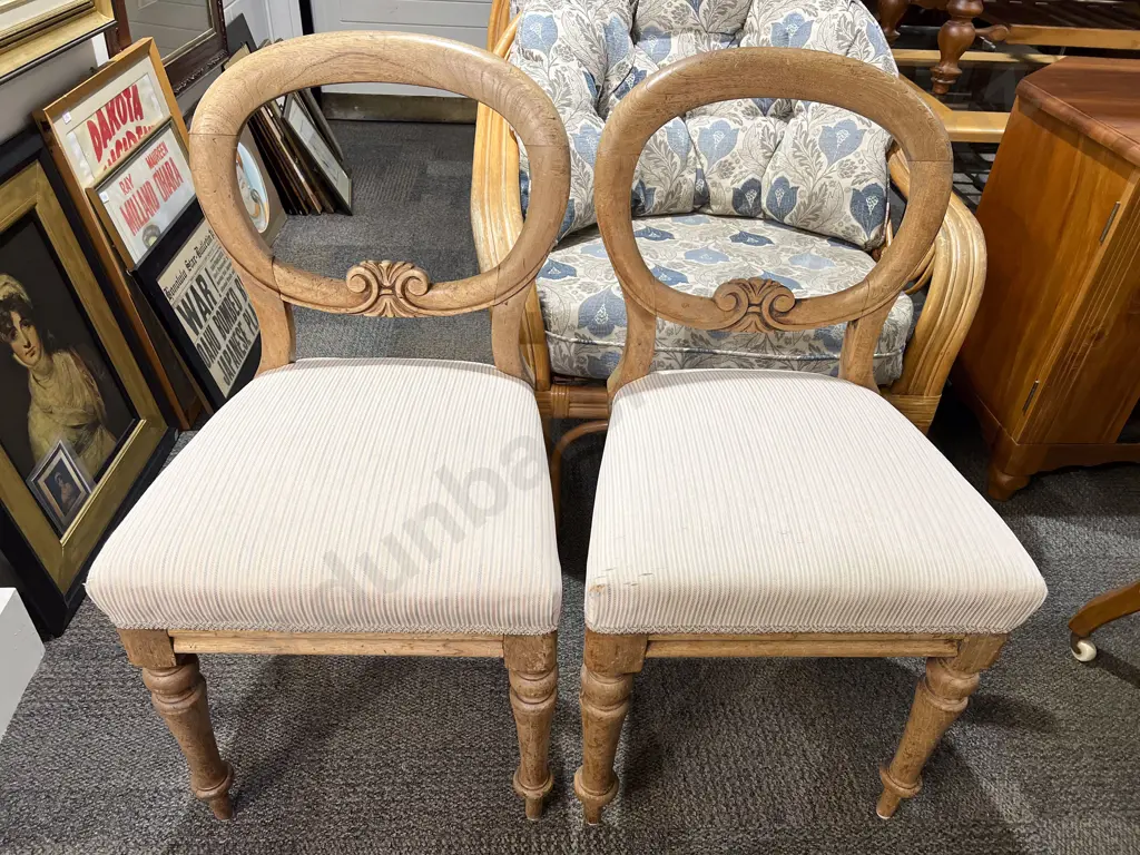Pair of Balloon Back Dining Chairs Image 1++