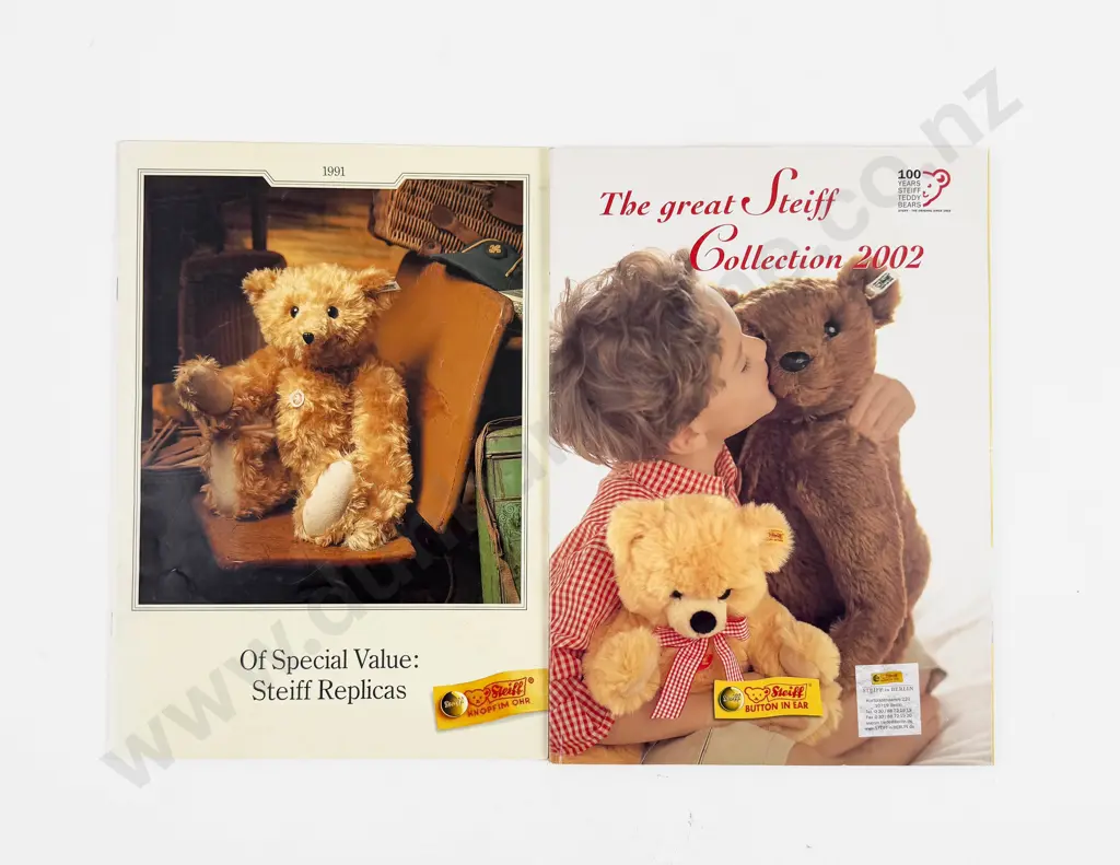 Teddy Bear Reference Image 1++