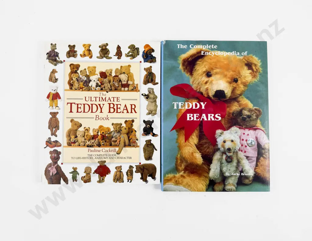 Teddy Bear Reference Image 1++