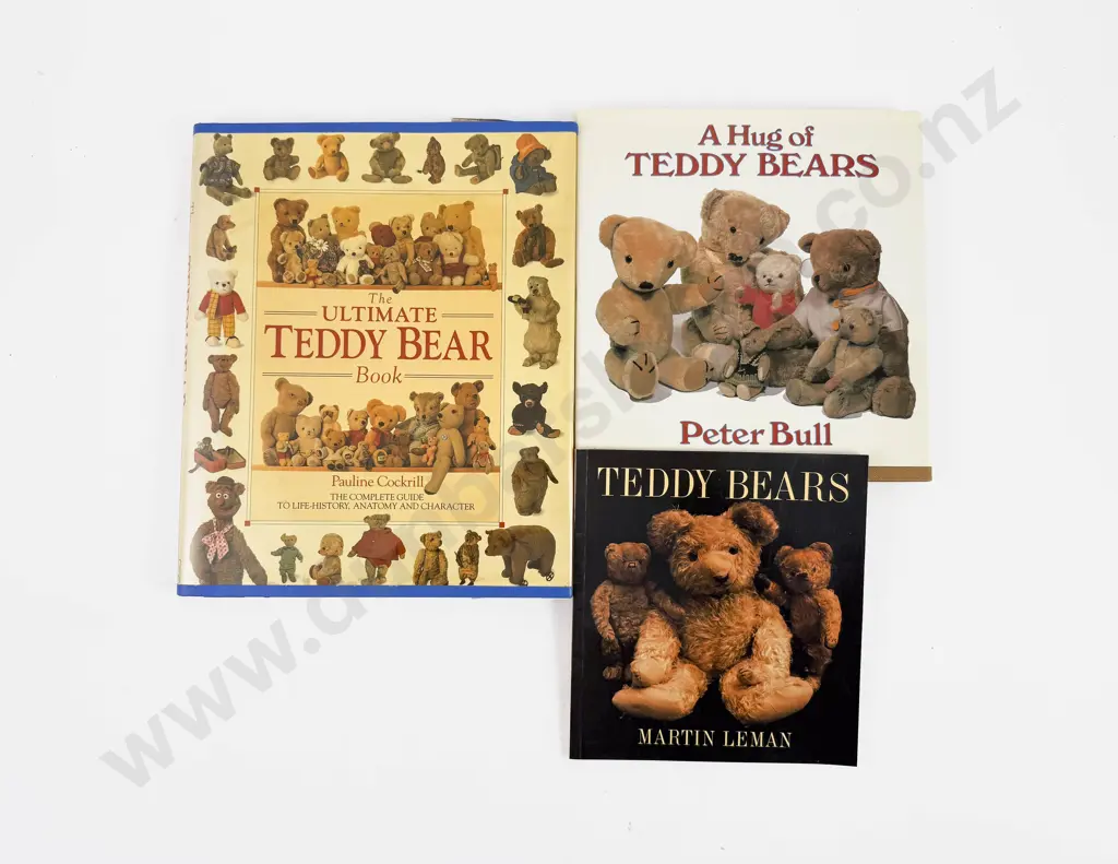 Teddy Bear Reference Image 1++