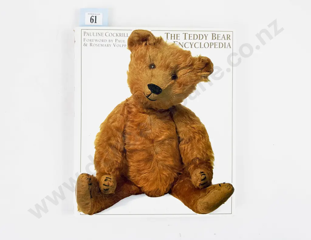 Teddy Bear Reference Image 1++