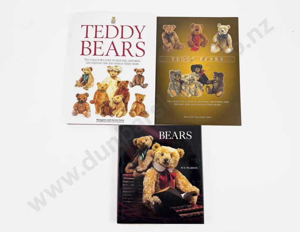 Teddy Bear Reference Image 1++