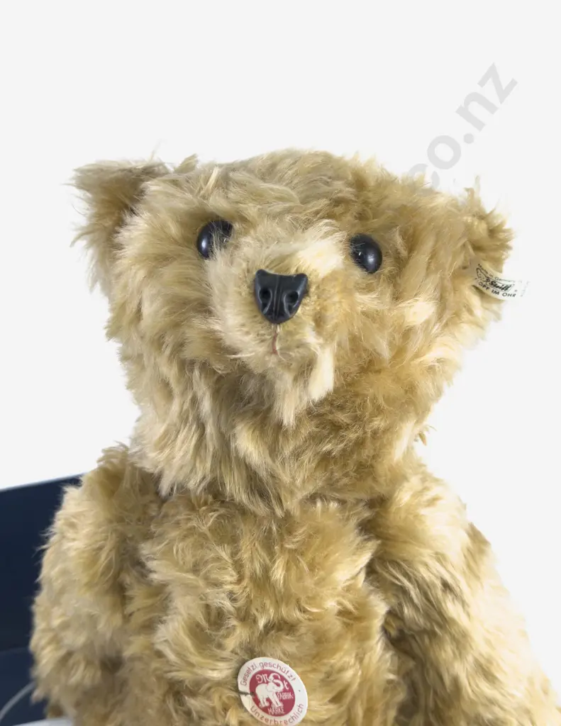 Boxed Steiff Teddy Bear 35 PB 1904 'Bärle' Image 1++