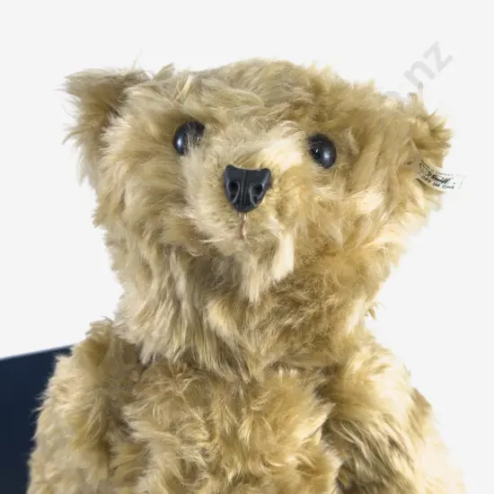 Boxed Steiff Teddy Bear 35 PB 1904 'Bärle'