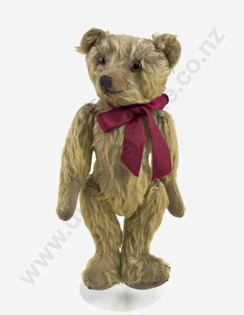 Early C20th Teddy Bear with back hump and fine long nose Image 1++