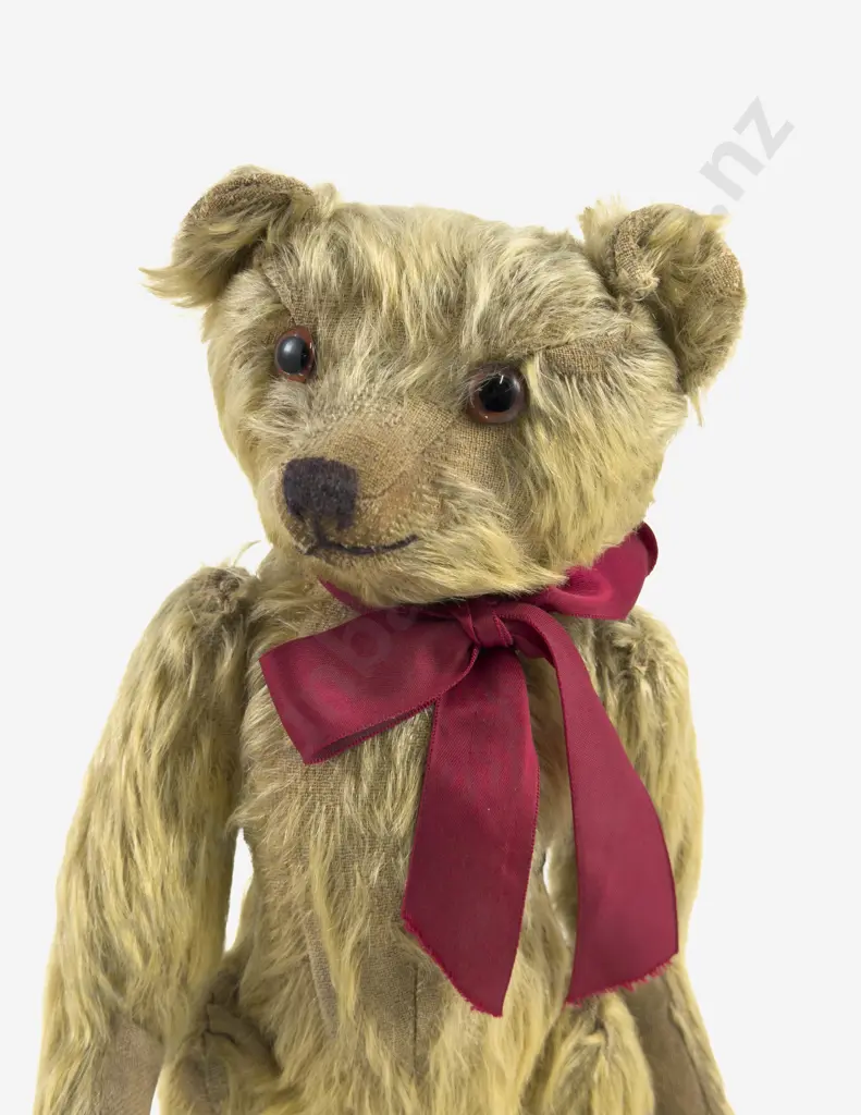 Early C20th Teddy Bear with back hump and fine long nose Image 1++