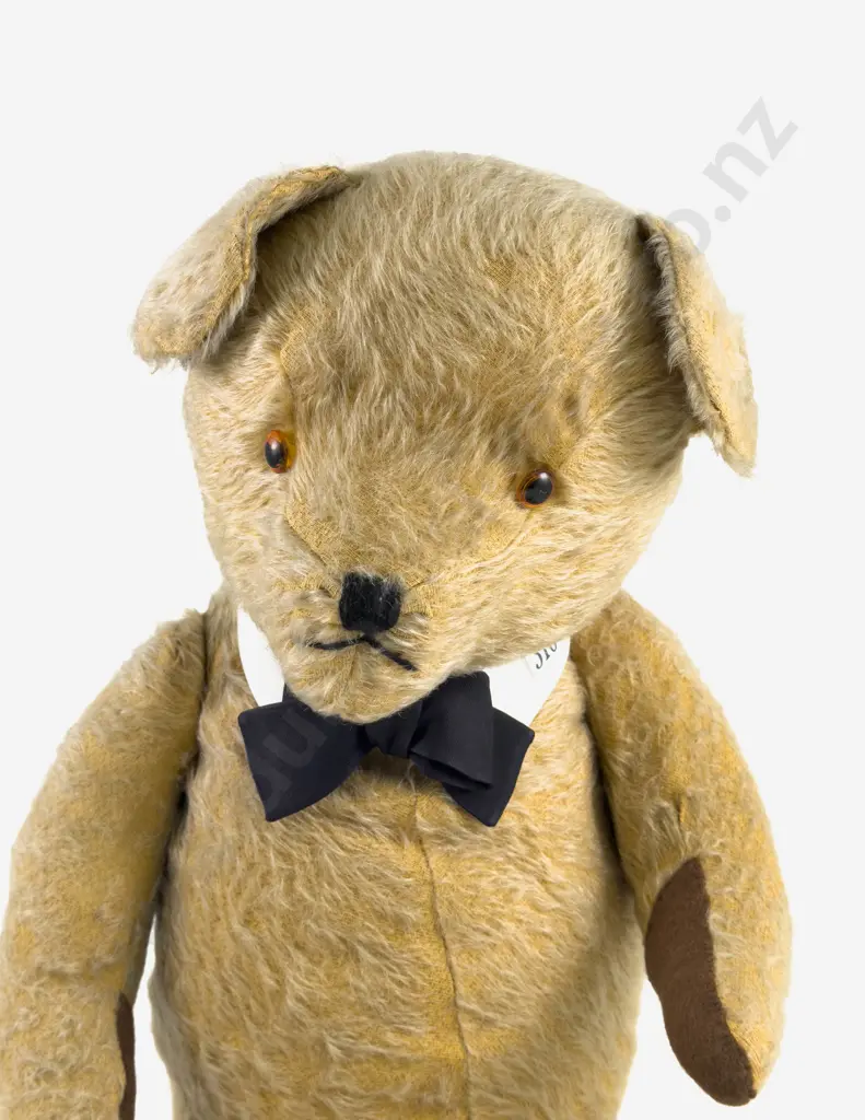 Vintage C1950/60 (Pedigree) Teddy Bear Image 1++