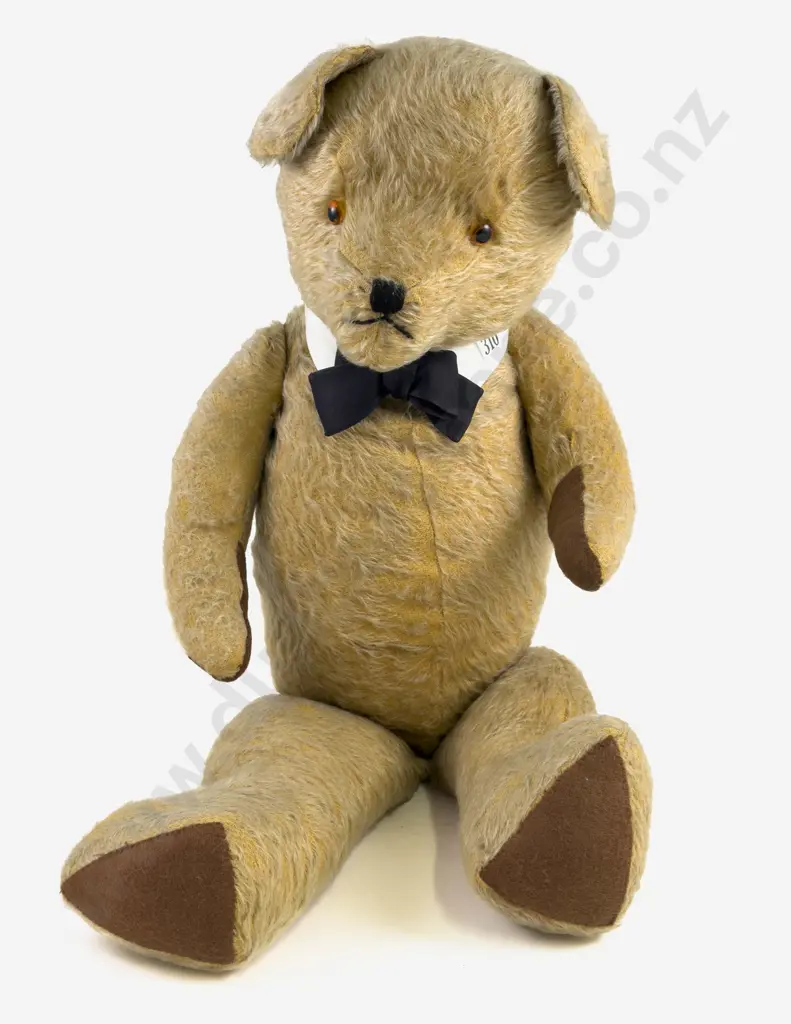 Vintage C1950/60 (Pedigree) Teddy Bear Image 1++
