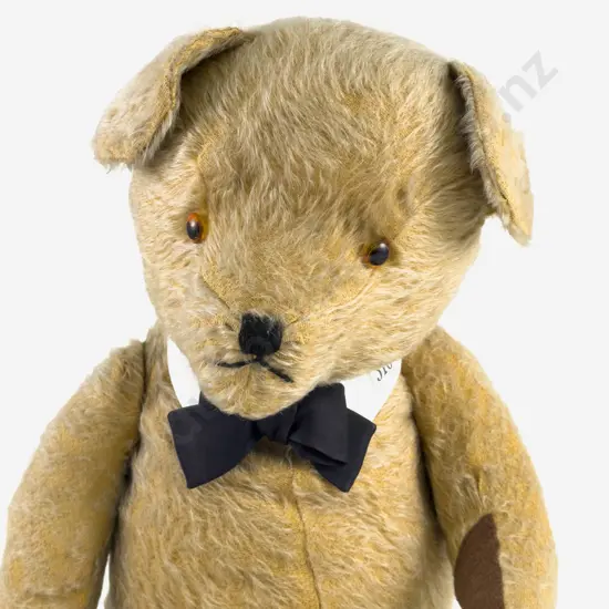 Vintage C1950/60 (Pedigree) Teddy Bear