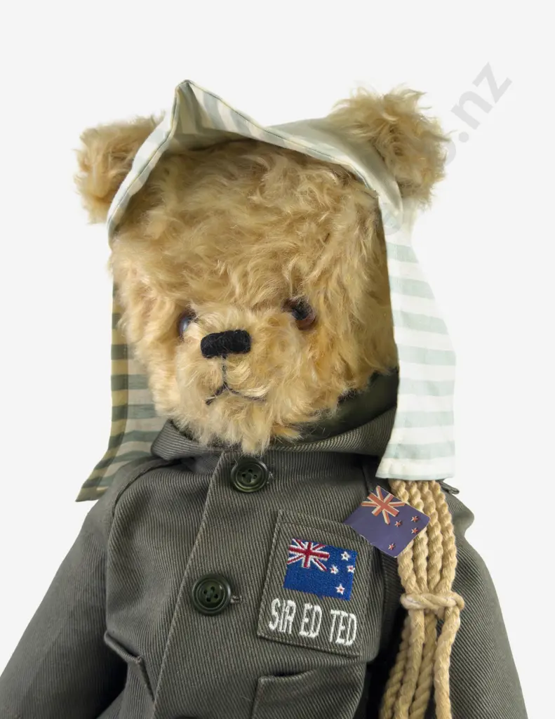 Almost South Pole NZ Teddy Bear by Janis Harris 'Sir Ed' Ted Image 1++