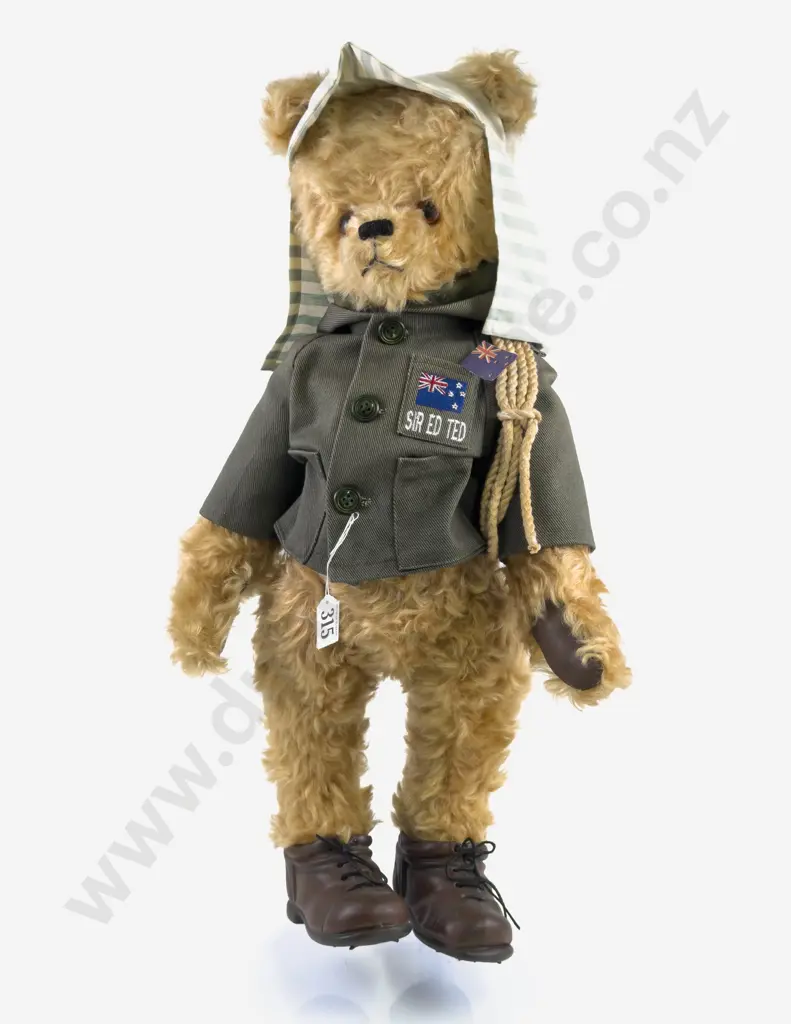 Almost South Pole NZ Teddy Bear by Janis Harris 'Sir Ed' Ted Image 1++