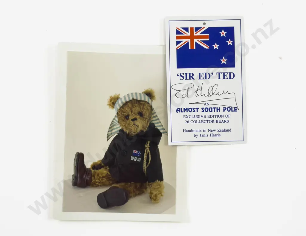 Almost South Pole NZ Teddy Bear by Janis Harris 'Sir Ed' Ted Image 1++