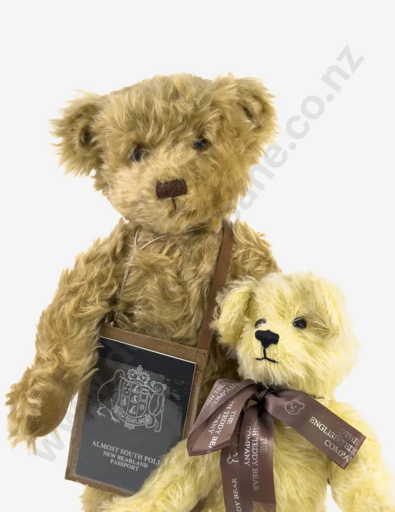 Two Almost South Pole NZ Teddy Bears by Janis Harris and English Teddy Bear Company Teddy Bear Image 1++