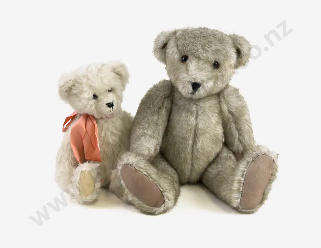 Almost South Pole NZ Teddy Bears by Janis Harris and Unlabelled White Plush Teddy Bear 46cm Image 1++