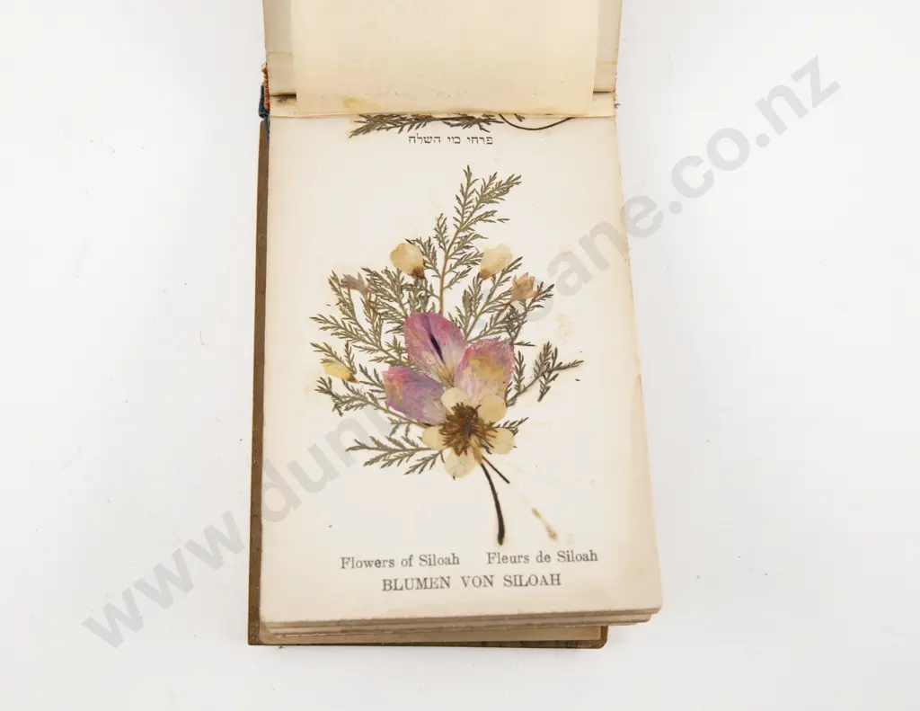 Vintage Olivewood Album Of Pressed Flowers Image 1++