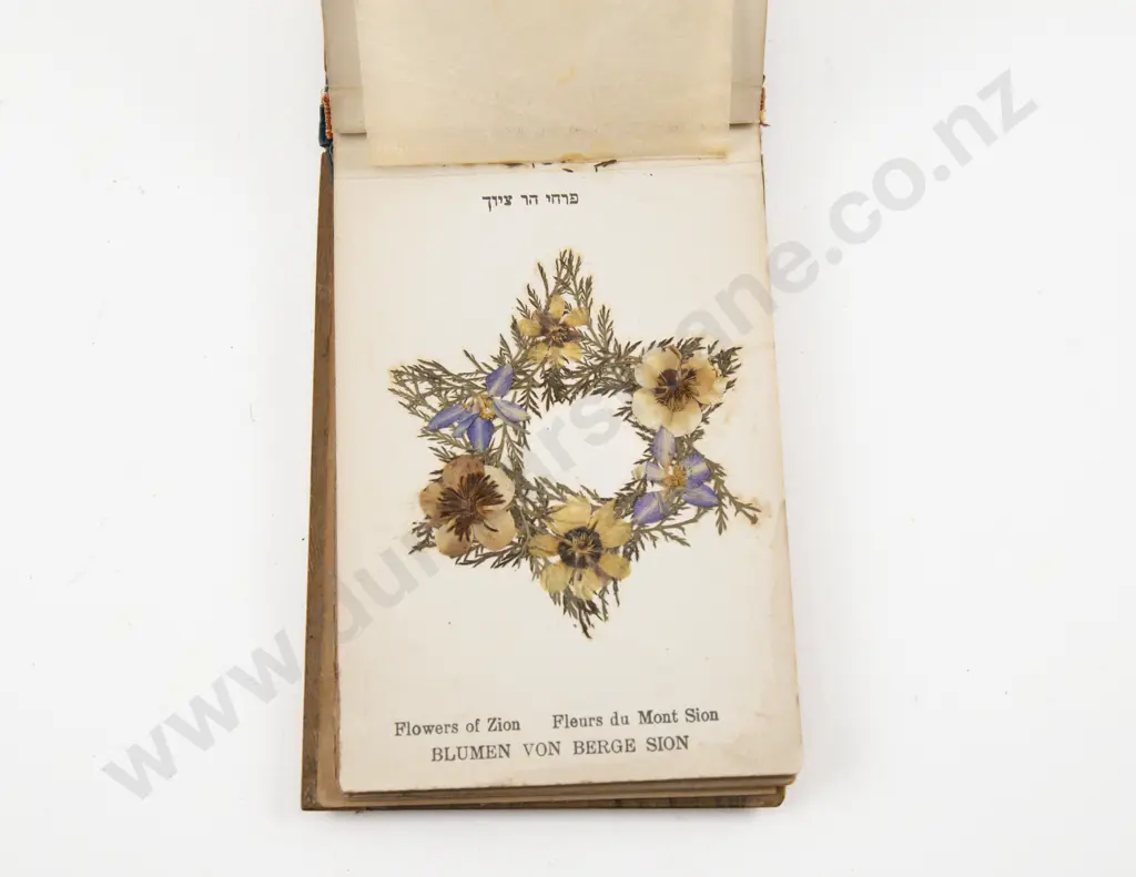 Vintage Olivewood Album Of Pressed Flowers Image 1++