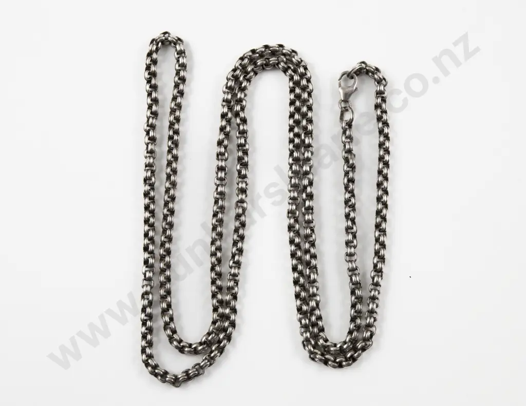 S/S Trace Link Neck Chain Image 1++