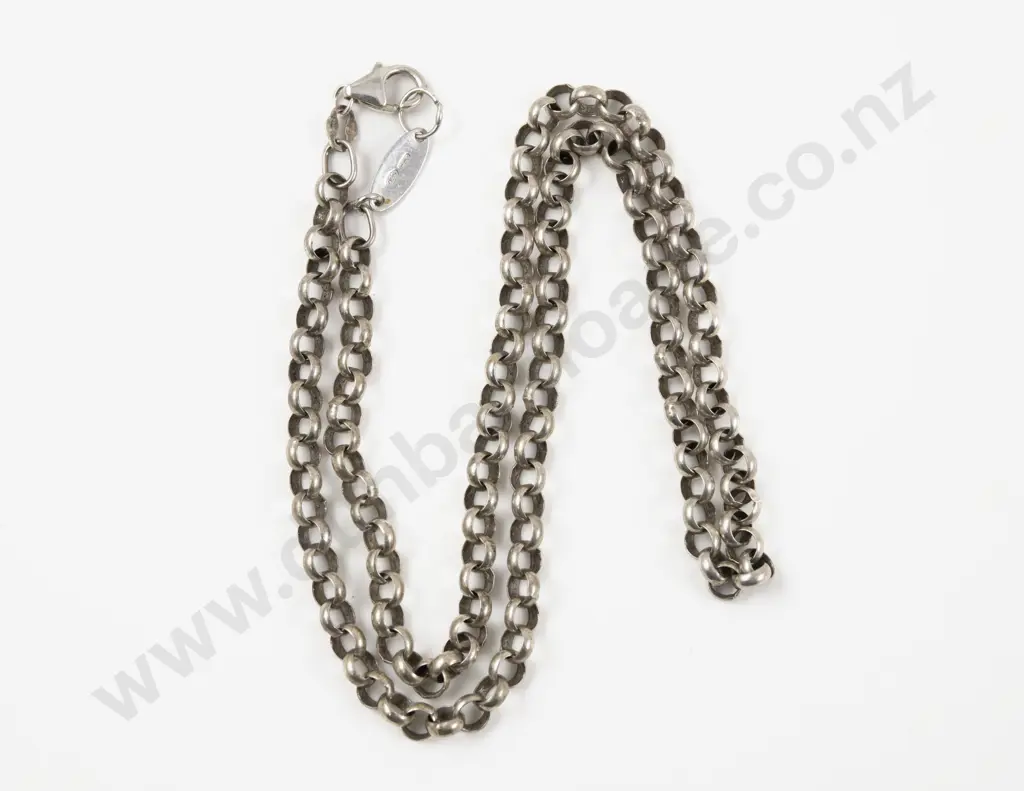 S/S Trace Link Neck Chain Image 1++
