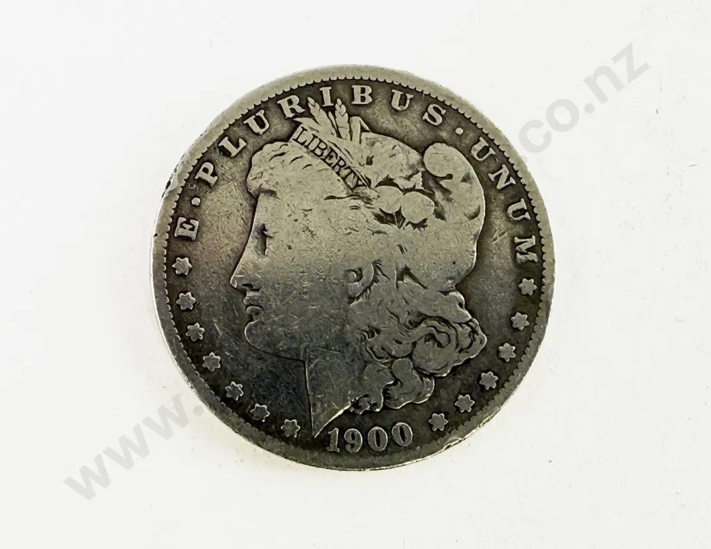 US 1900 Silver Dollar (worn) Image 1++