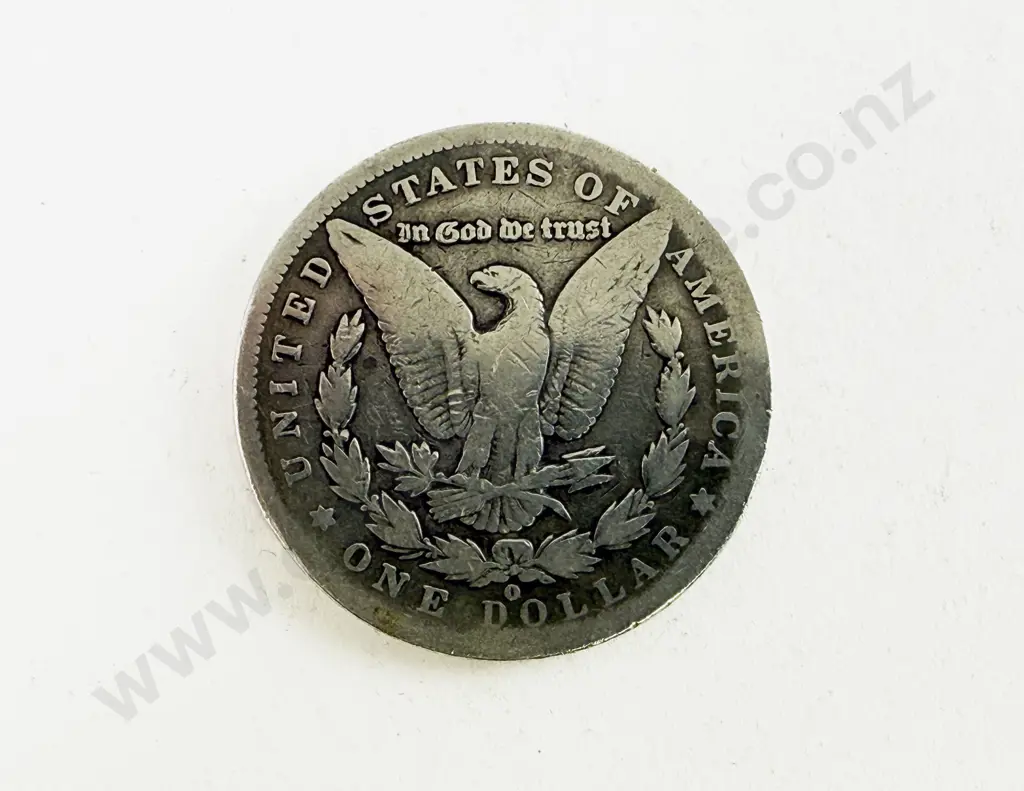 US 1900 Silver Dollar (worn) Image 1++