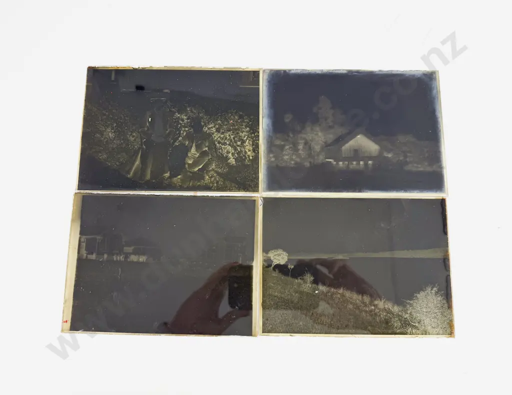 Collection C1906 Family Negative Glass Slides titles including Raetihi - Levin (8 boxes) Image 1++