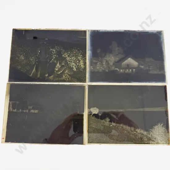 Collection C1906 Family Negative Glass Slides titles including Raetihi - Levin (8 boxes)