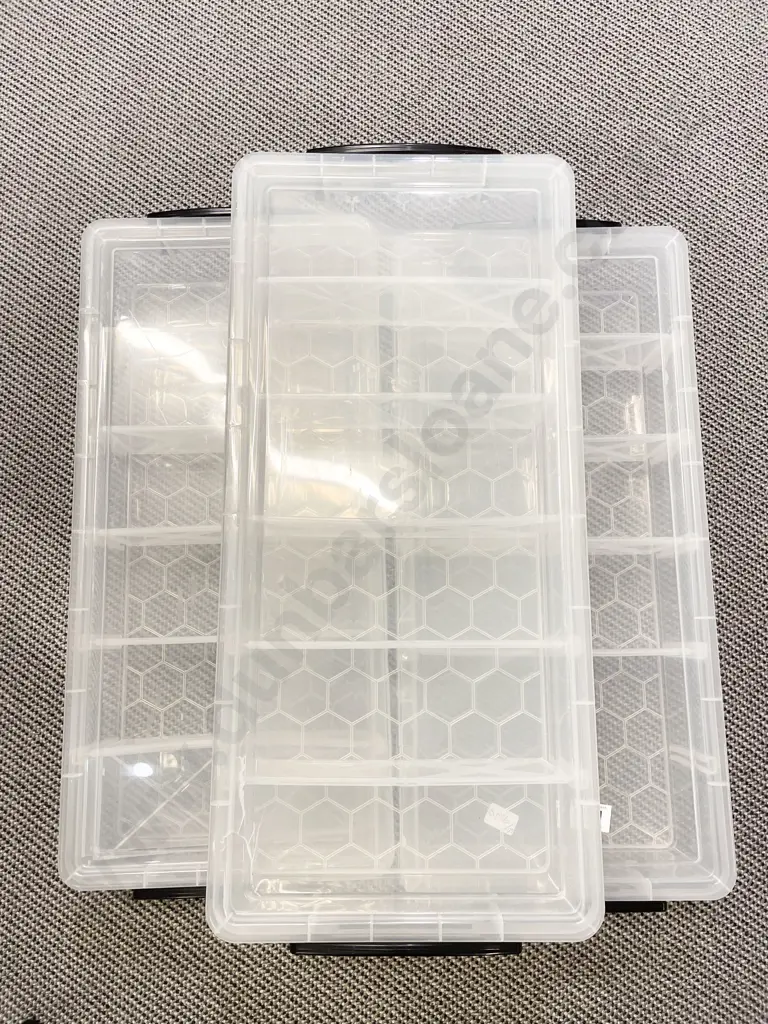 Three Plastic Compartment Containers Image 1++