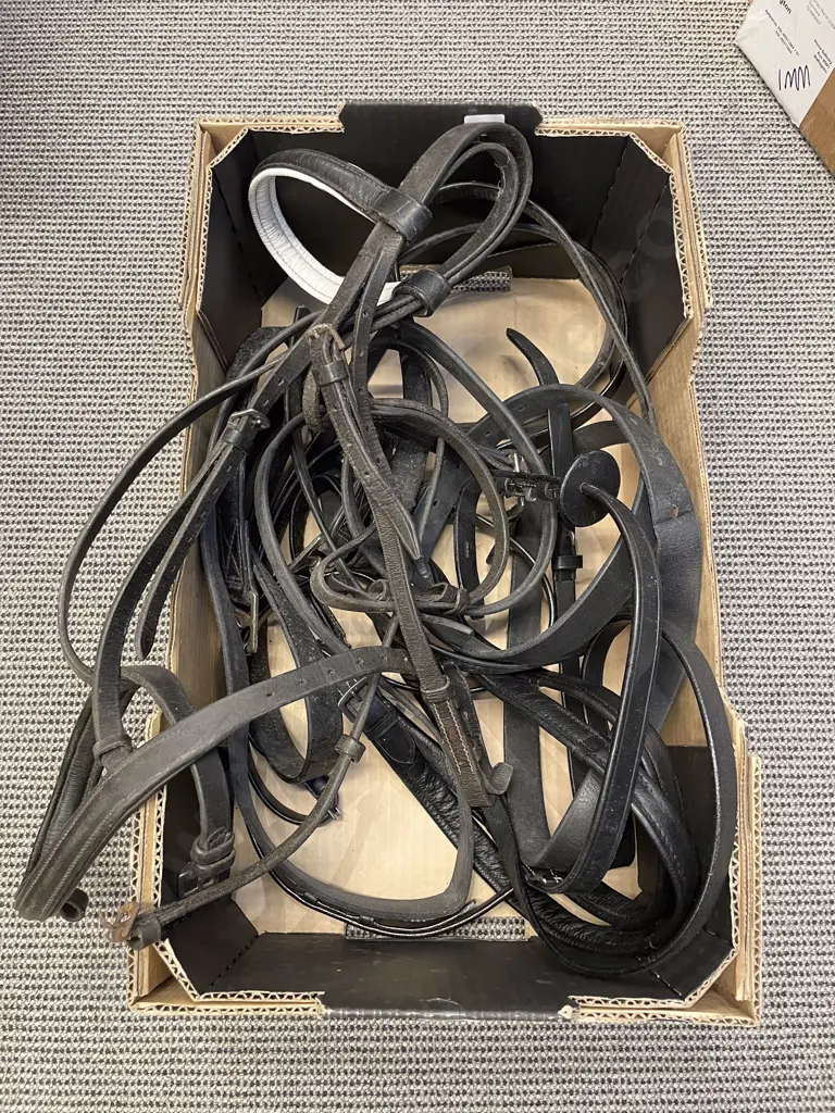 Qty of Assorted Horse Bridles etc Image 1++