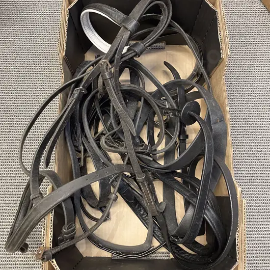 Qty of Assorted Horse Bridles etc