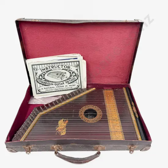 Mandolin Guitar in Case