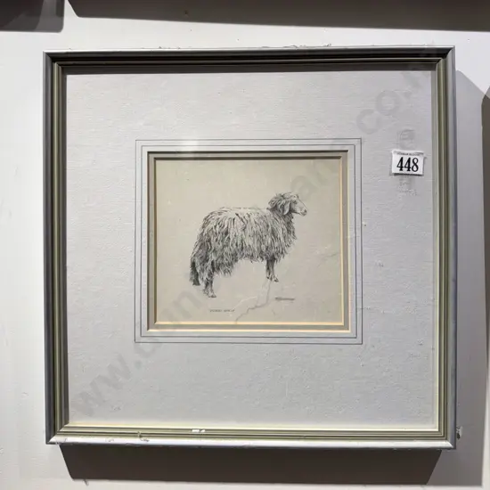M. A. Henderson - "Desert Sheep" - Graphite on Paper